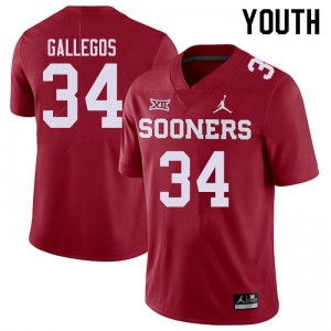Youth Eric Gallegos Crimson Sooners Jordan Brand College Football #34 Jersey 269959-819