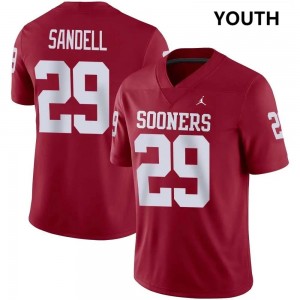 Youth Tate Sandell Crimson OU Sooners College Football #29 Jerseys 557436-993